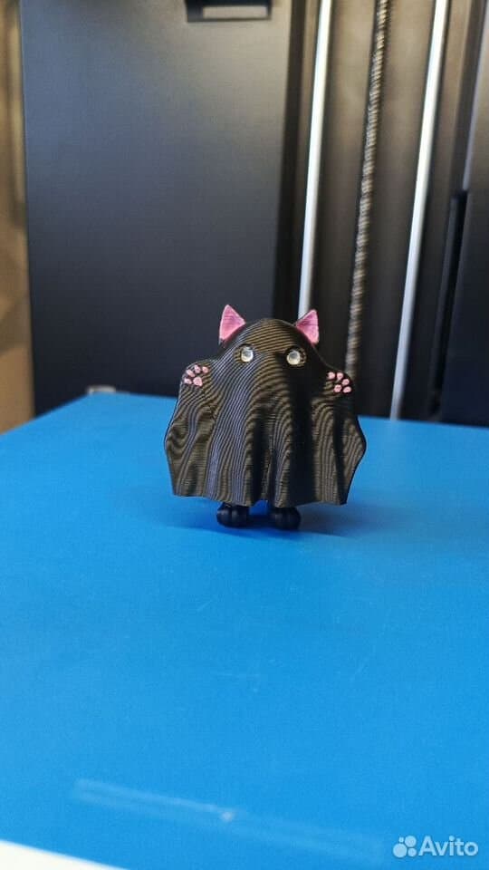 Котик-призрак 3D